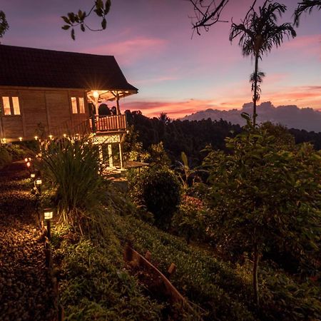 Garden Terrace Bali Bed & Breakfast Gobleg  Luaran gambar