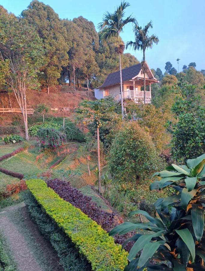 Garden Terrace Bali Bed & Breakfast Gobleg  Luaran gambar