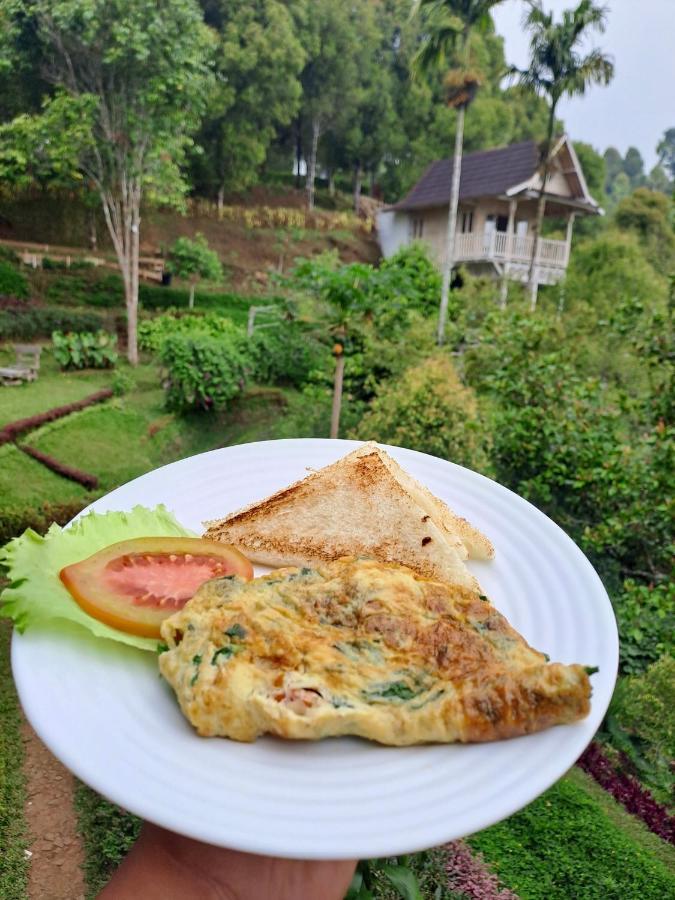 Garden Terrace Bali Bed & Breakfast Gobleg  Luaran gambar