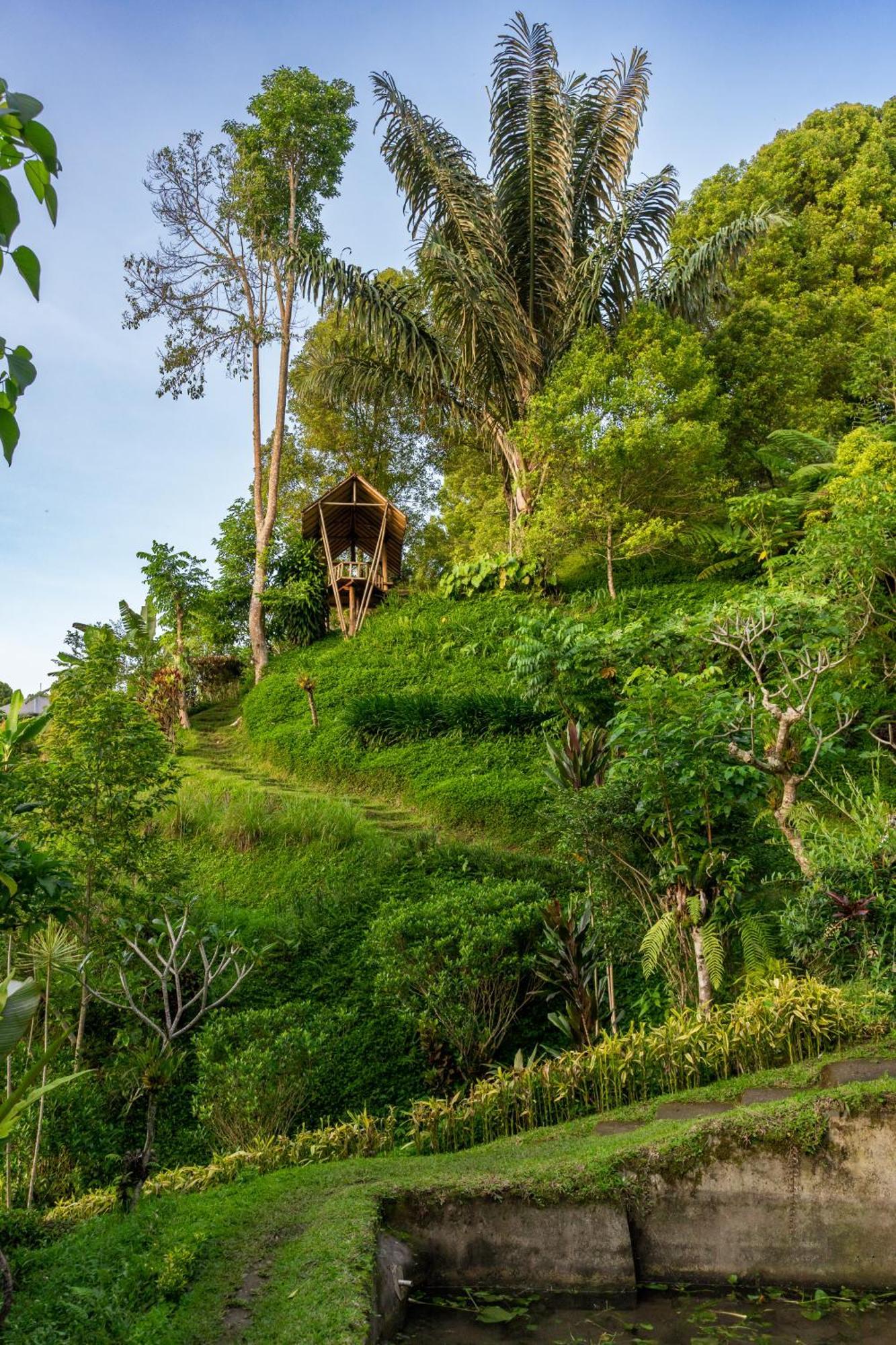 Garden Terrace Bali Bed & Breakfast Gobleg  Luaran gambar