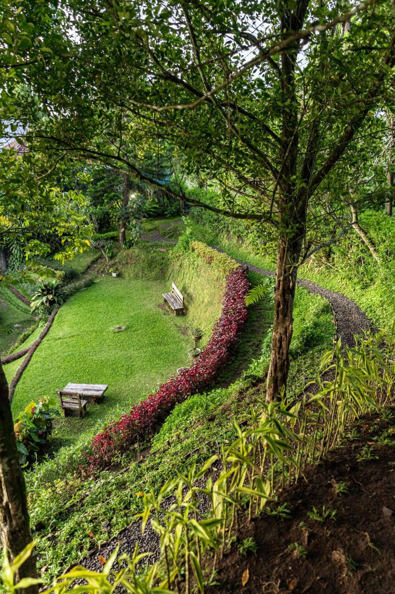Garden Terrace Bali Bed & Breakfast Gobleg  Luaran gambar