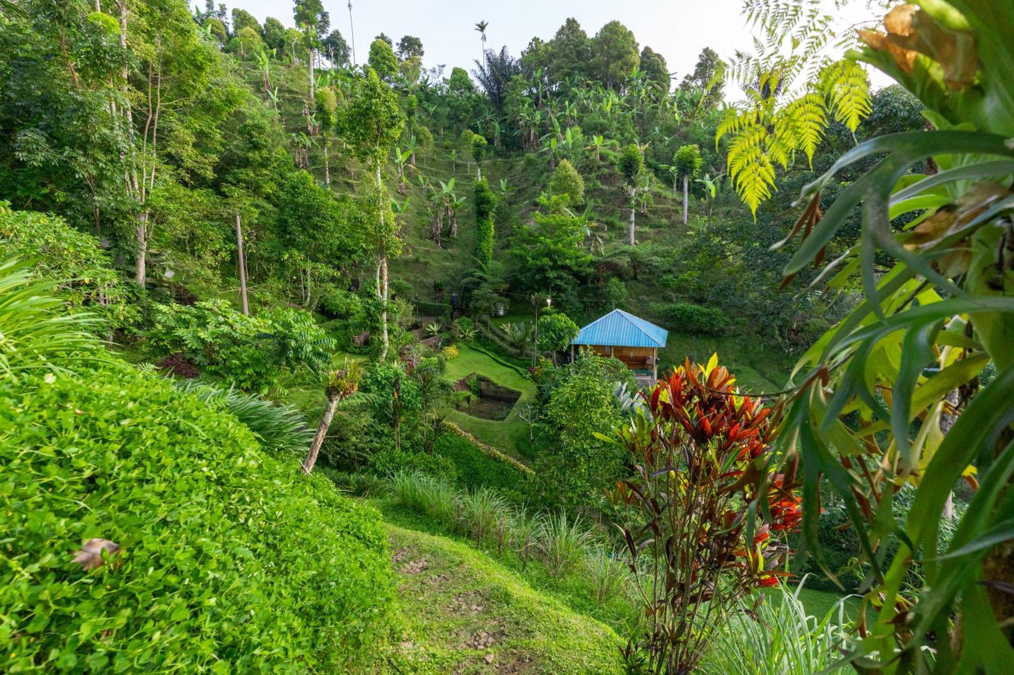 Garden Terrace Bali Bed & Breakfast Gobleg  Luaran gambar