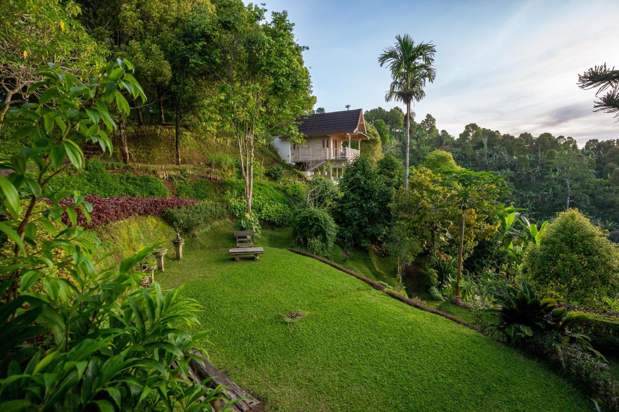 Garden Terrace Bali Bed & Breakfast Gobleg  Luaran gambar