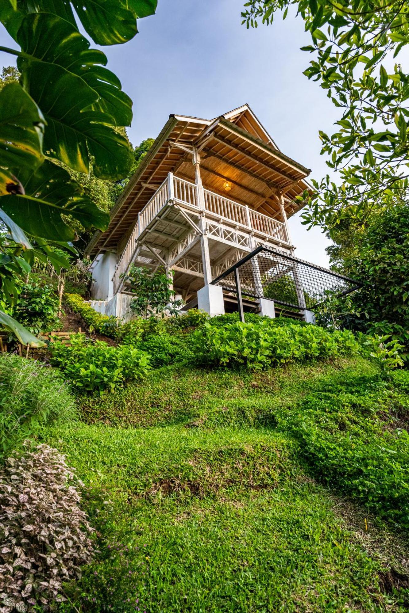 Garden Terrace Bali Bed & Breakfast Gobleg  Luaran gambar