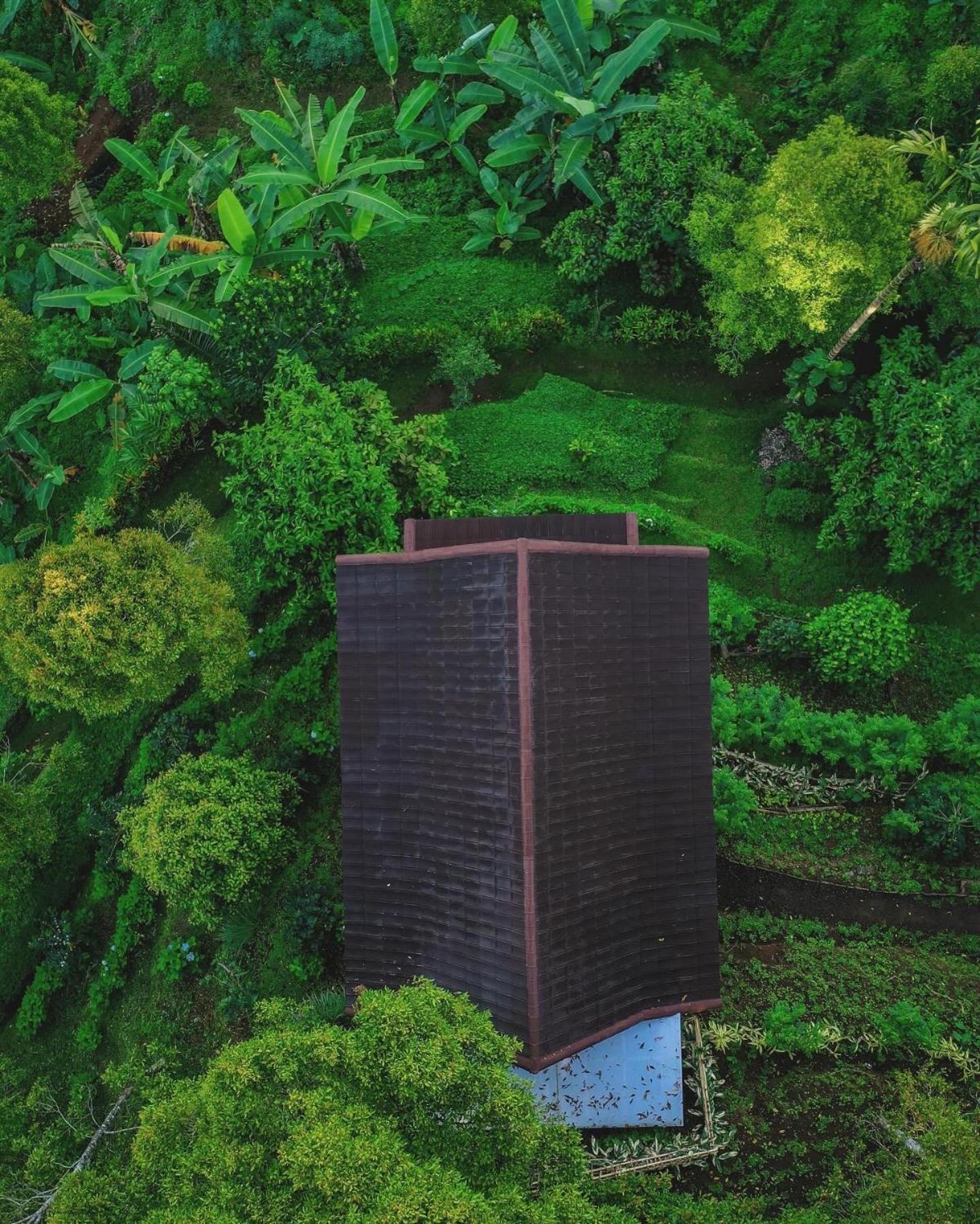 Garden Terrace Bali Bed & Breakfast Gobleg  Luaran gambar