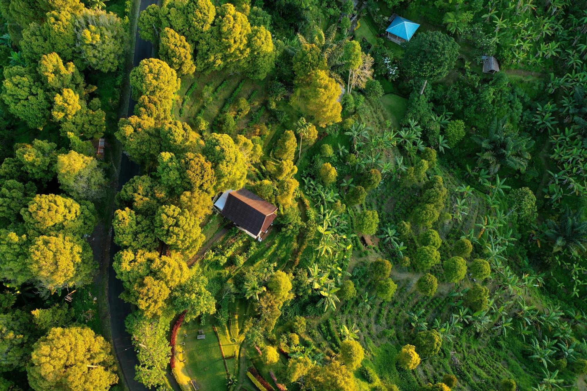 Garden Terrace Bali Bed & Breakfast Gobleg  Luaran gambar
